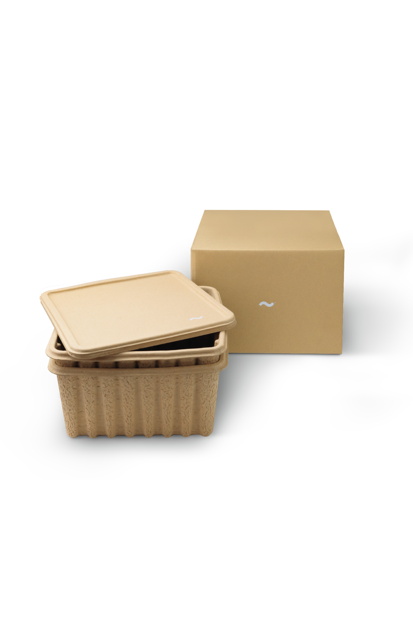 Pulp Box (Set of 2)