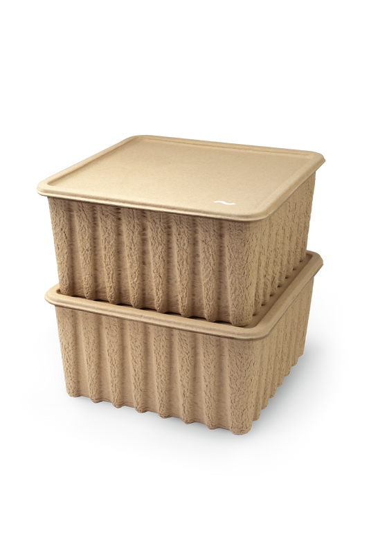 Pulp Box (Set of 2)